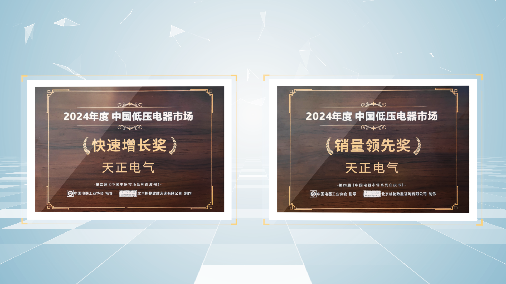 销量领先、快速增长丨南宫28app入口荣膺2项行业年度大奖